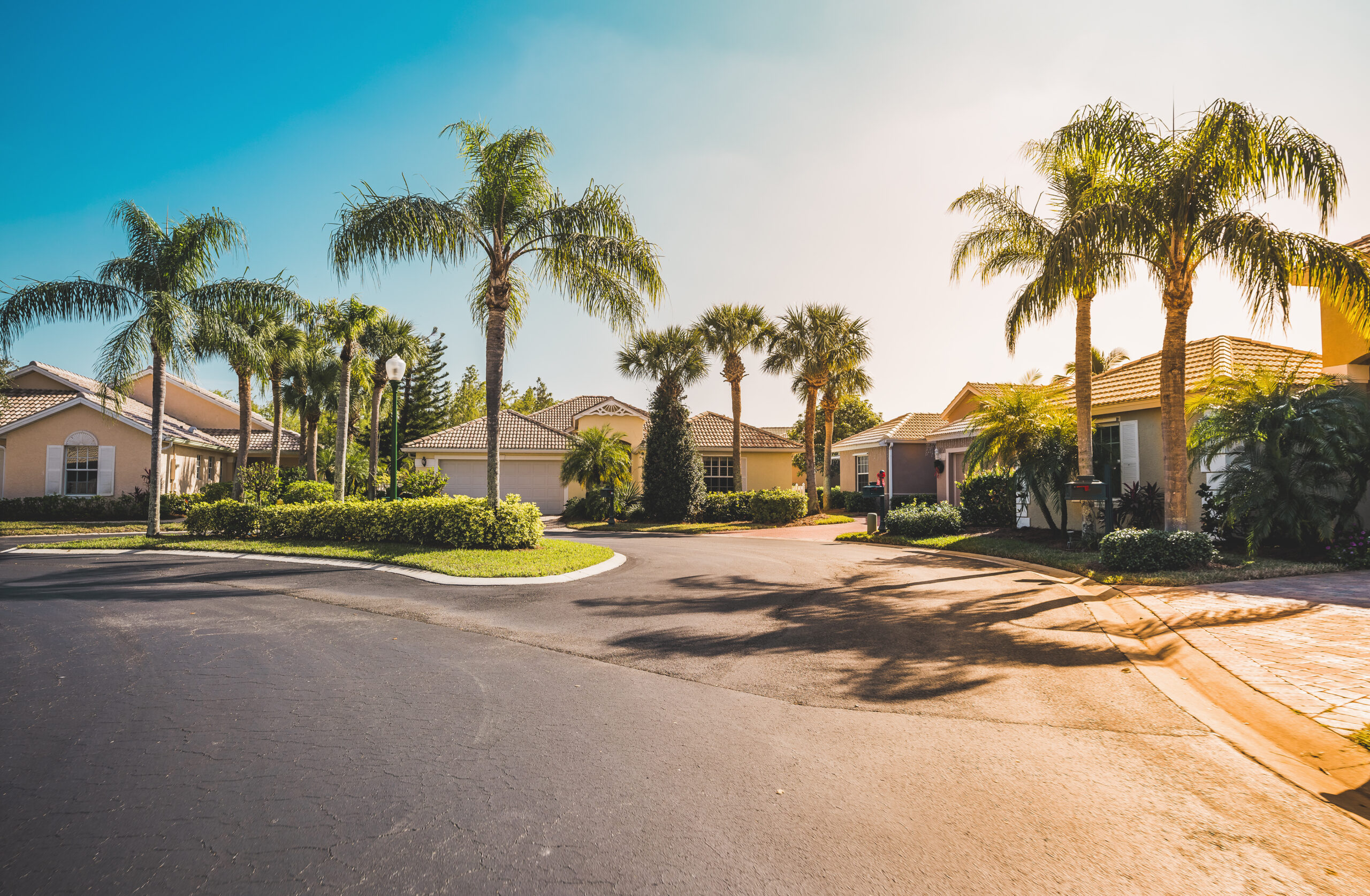 Neighborhood street with palm trees in Parrish Florida